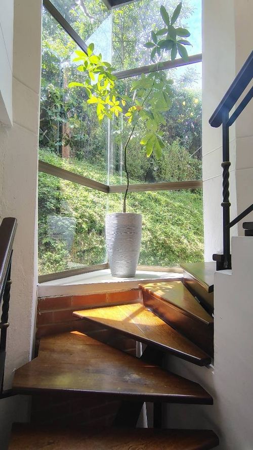 Casa de 4 alcobas en venta en Las Lomitas, Sabaneta, 291 m² · foto 14 de 24