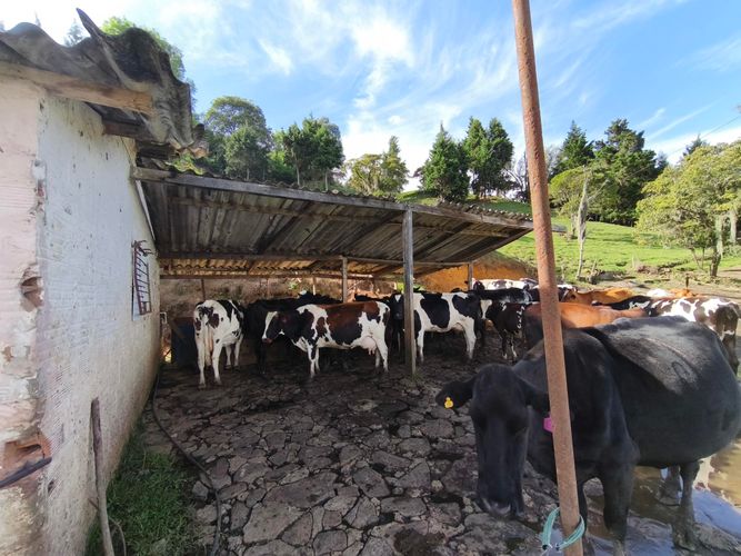 Finca en venta en San Cristobal, Medellín, 29295 m² · foto 21 de 24