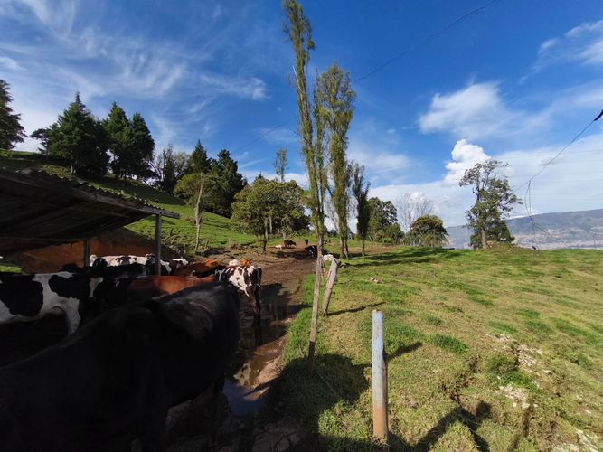 Finca en venta en San Cristobal, Medellín, 29295 m² · foto 22 de 24