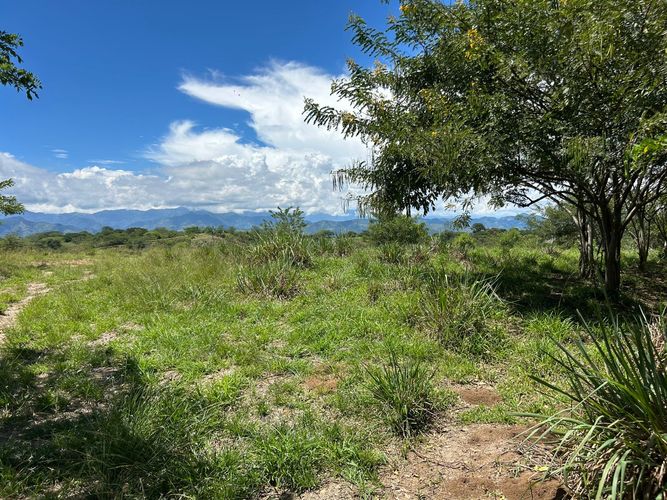 Lote en venta en Cerritos, Pereira, 10000 m² · foto 2 de 6