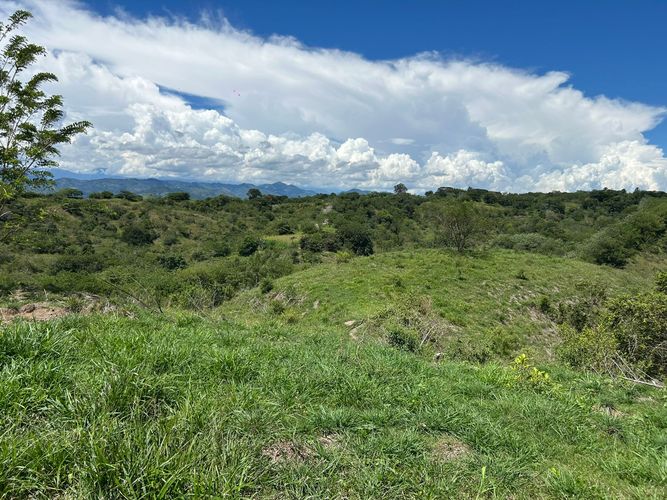 Lote en venta en Cerritos, Pereira, 10000 m² · foto 3 de 6
