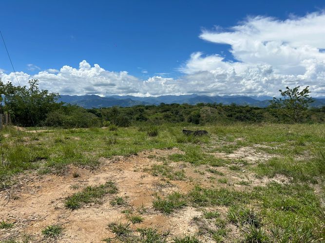 Lote en venta en Cerritos, Pereira, 10000 m² · foto 4 de 6