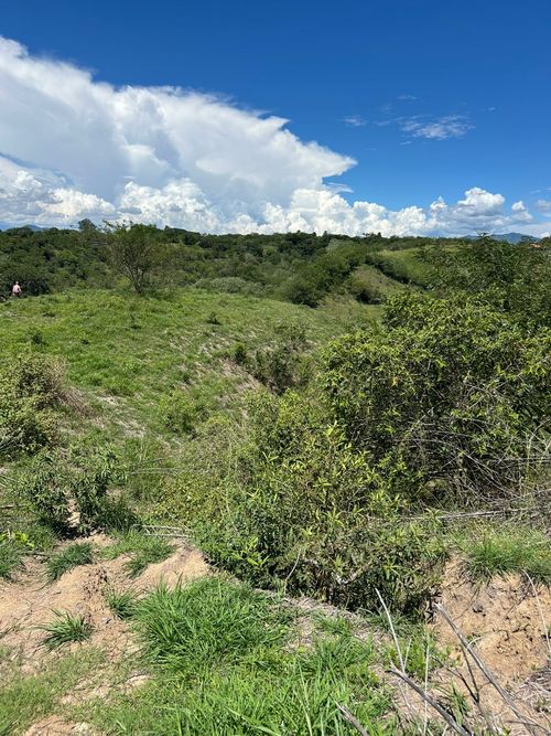 Lote en venta en Cerritos, Pereira, 10000 m² · foto 5 de 6