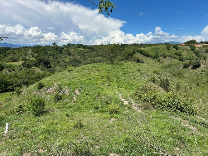 Lote en venta en Cerritos, Pereira, 10000 m² · foto 6 de 6