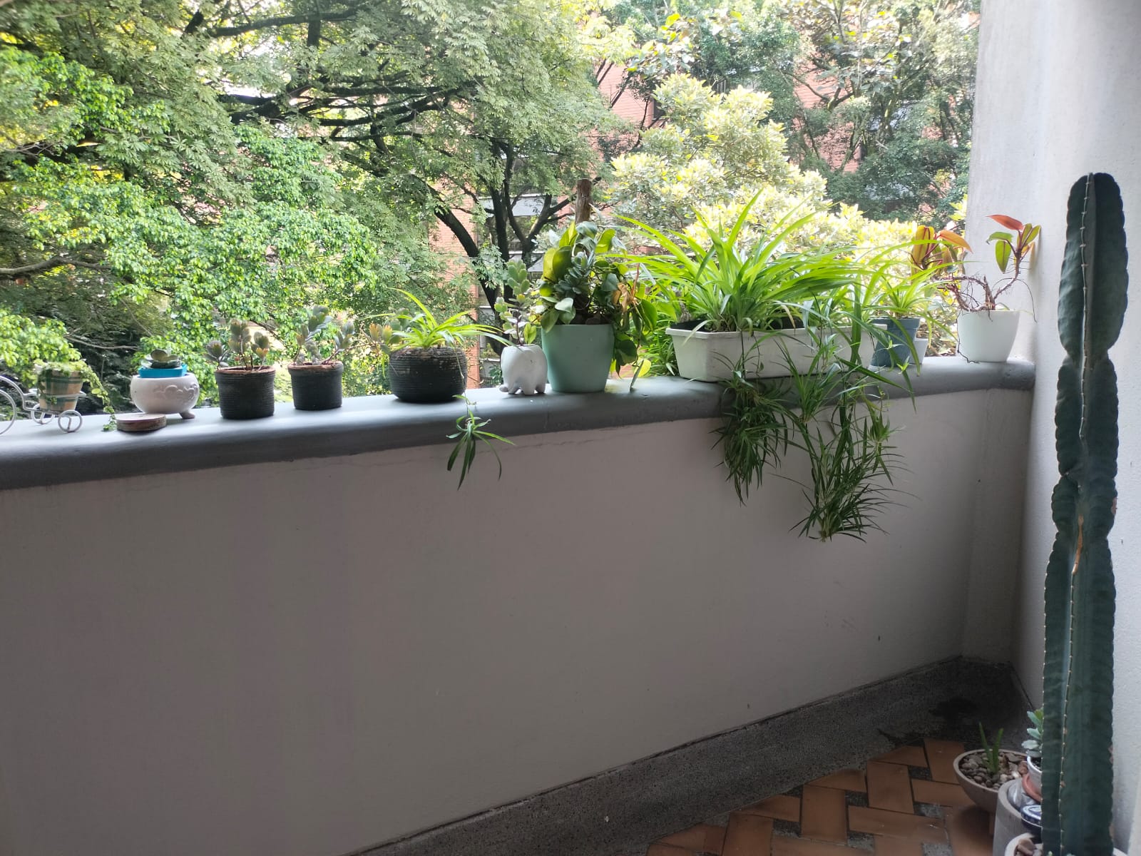 Apartamento en venta en Santa Maria De Los Angeles, Medellín · foto 15 de 15