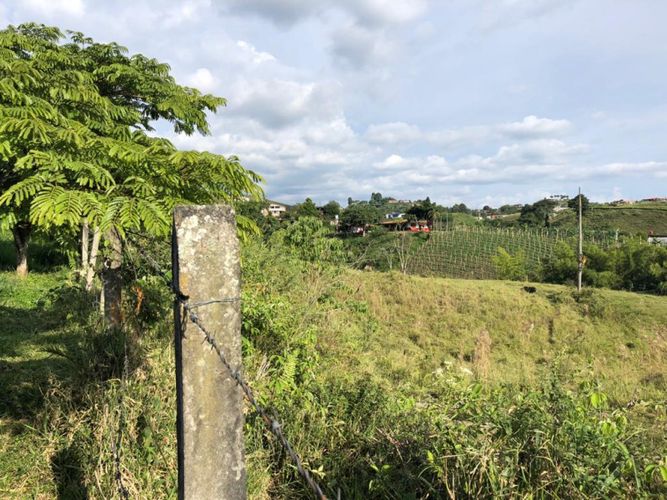 Lote en arriendo en Condina, Pereira, 14400 m² · foto 4 de 23