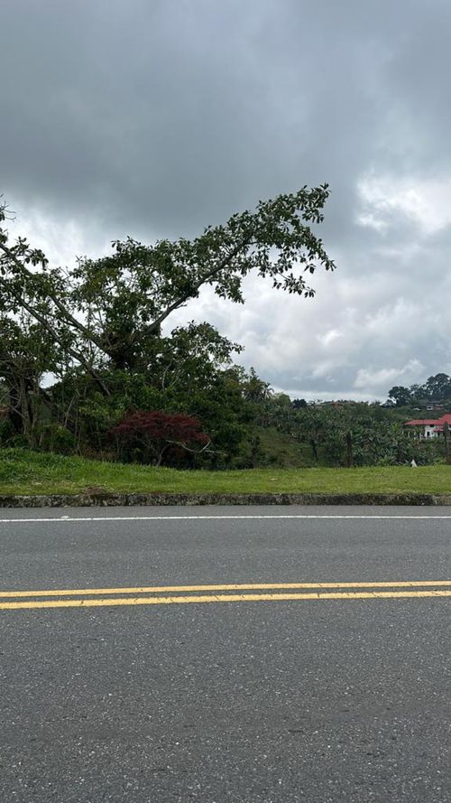 Lote en arriendo en Condina, Pereira, 14400 m² · foto 6 de 23