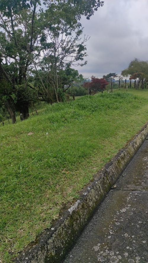 Lote en arriendo en Condina, Pereira, 14400 m² · foto 7 de 23