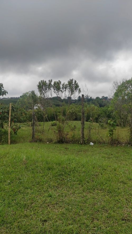 Lote en arriendo en Condina, Pereira, 14400 m² · foto 8 de 23