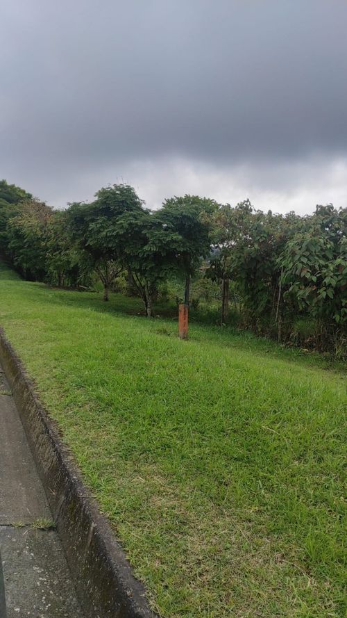 Lote en arriendo en Condina, Pereira, 14400 m² · foto 9 de 23