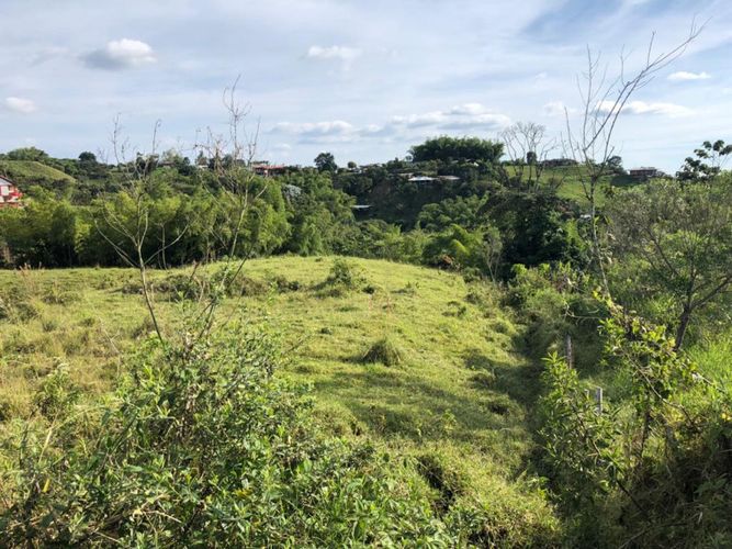 Lote en arriendo en Condina, Pereira, 14400 m² · foto 11 de 23
