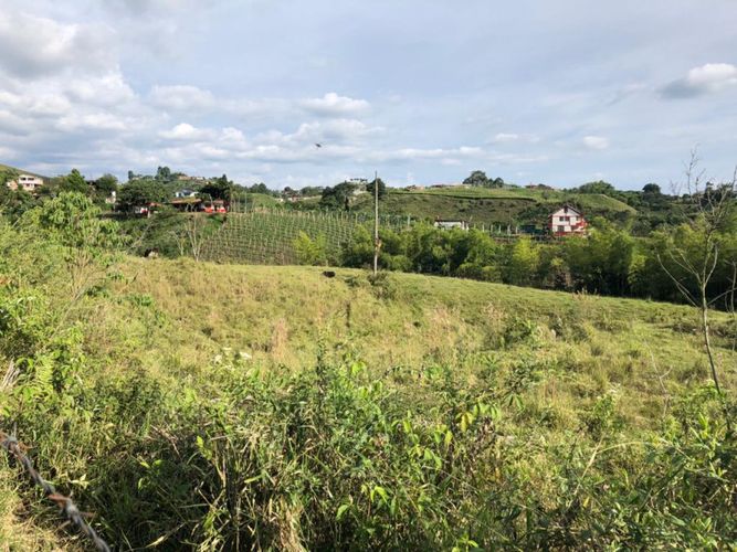 Lote en arriendo en Condina, Pereira, 14400 m² · foto 12 de 23