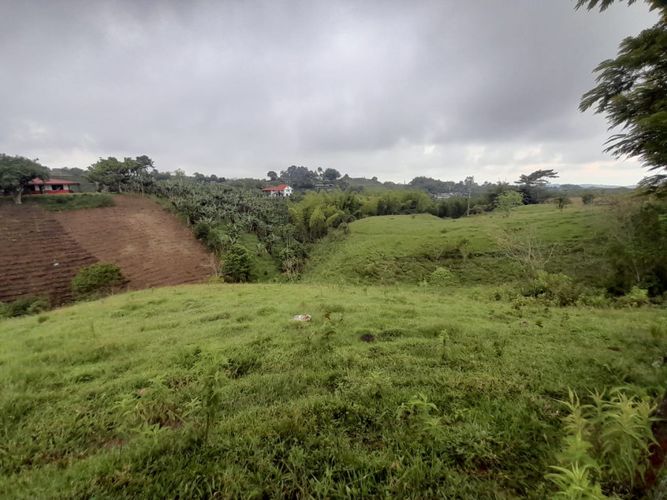 Lote en arriendo en Condina, Pereira, 14400 m² · foto 14 de 23
