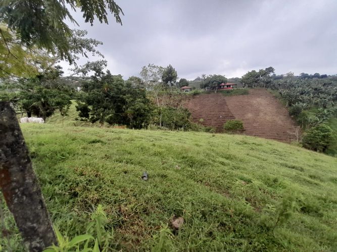 Lote en arriendo en Condina, Pereira, 14400 m² · foto 17 de 23