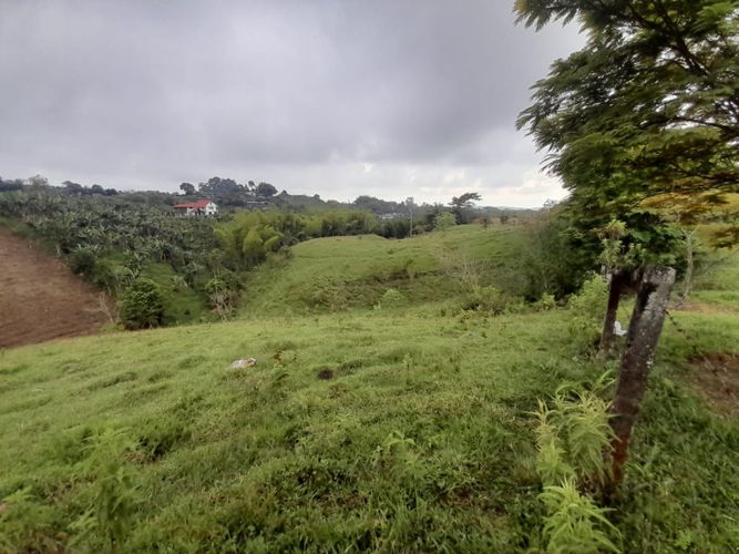 Lote en arriendo en Condina, Pereira, 14400 m² · foto 18 de 23