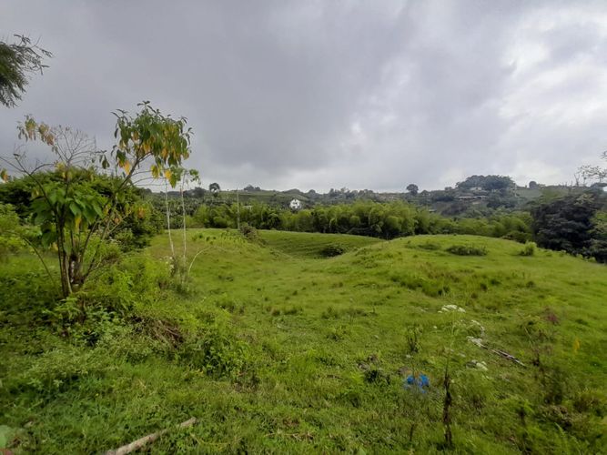 Lote en arriendo en Condina, Pereira, 14400 m² · foto 20 de 23