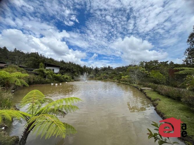 Lote en venta en Pantanillo, El Retiro, 2089 m² · foto 8 de 16