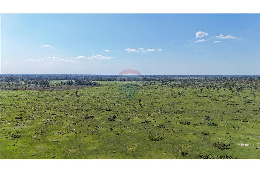 VENDO ESTANCIA 1040 HECTAREAS EN ARROYOS Y ESTEROS — foto 3