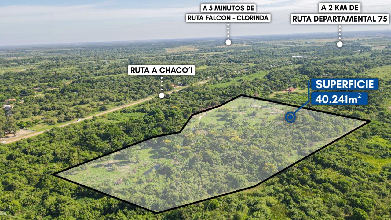 VENDO 4HAS DE TERRENO EN CHACOI NUEVA ASUNCION — foto 3
