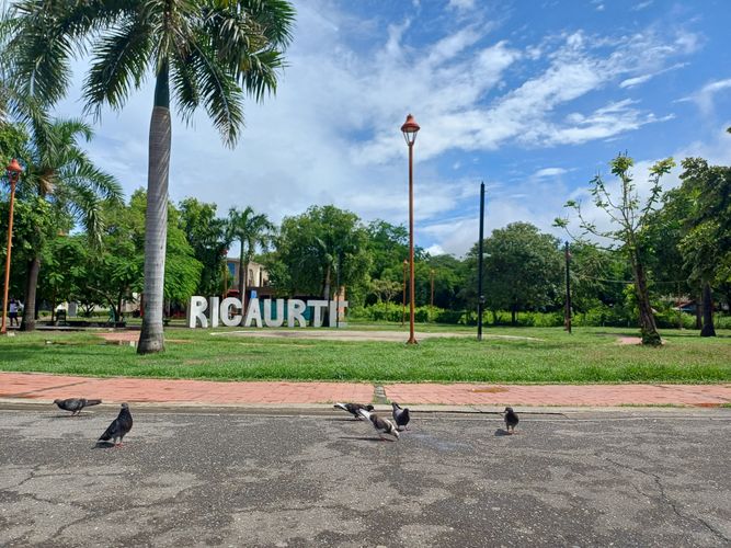 Lote en venta en Ricaurte, 98 m² · foto 3 de 24
