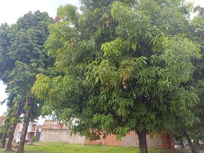 Lote en venta en Ricaurte, 98 m² · foto 16 de 24