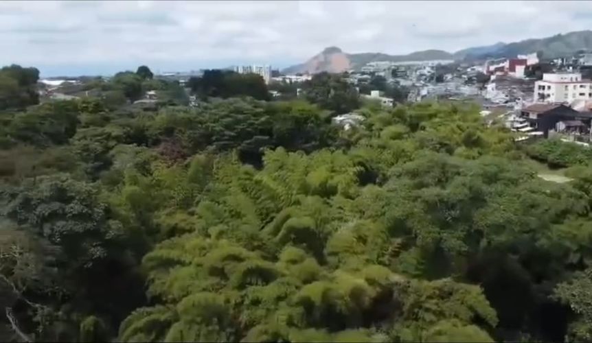 Lote en venta en Jardin I Etapa, Pereira, 58000 m² · foto 7 de 11