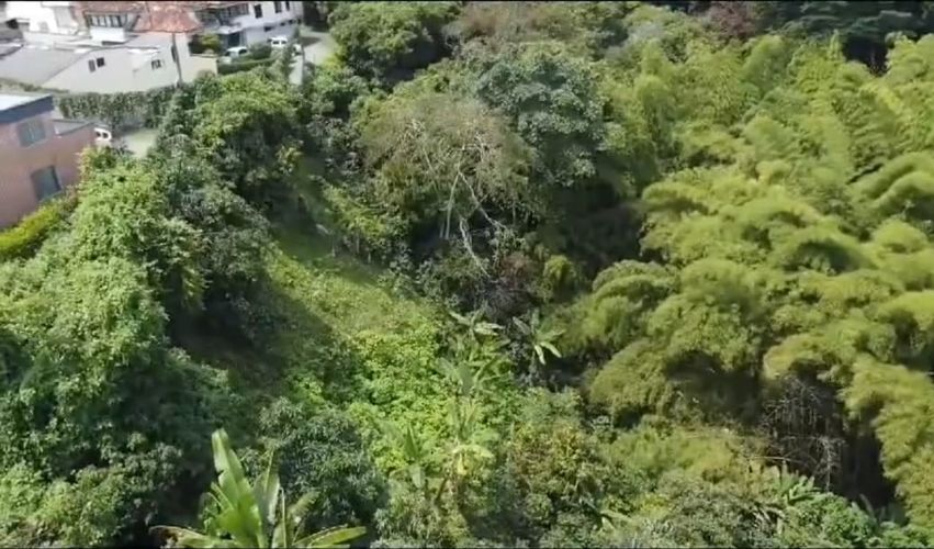 Lote en venta en Jardin I Etapa, Pereira, 58000 m² · foto 8 de 11