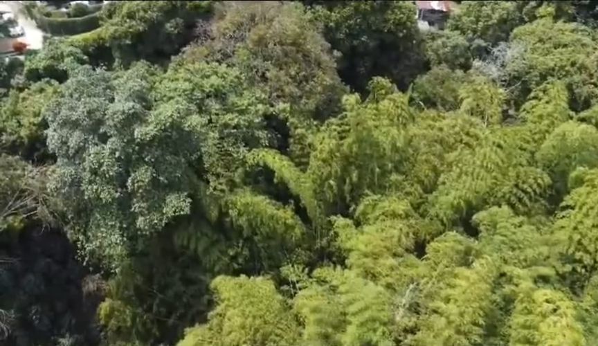 Lote en venta en Jardin I Etapa, Pereira, 58000 m² · foto 10 de 11