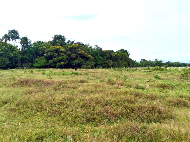 Lote en venta en Bella Suiza, Villavicencio, 61800 m² · foto 2 de 16