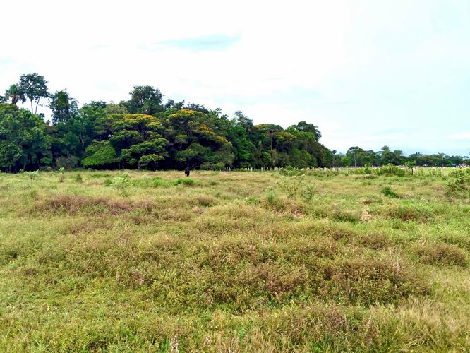 Lote en venta en Bella Suiza, Villavicencio, 61800 m² · foto 4 de 16
