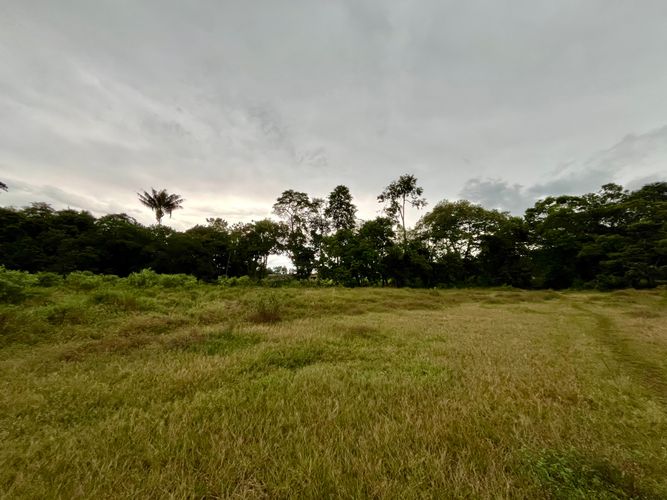 Lote en venta en Bella Suiza, Villavicencio, 61800 m² · foto 11 de 16