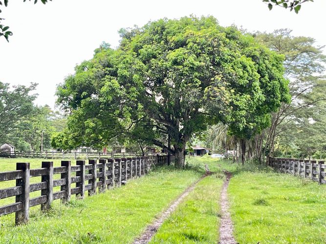 Lote en venta en Bella Suiza, Villavicencio, 61800 m² · foto 12 de 16