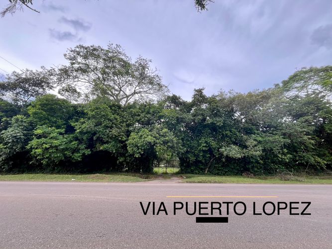 Lote en venta en Bella Suiza, Villavicencio, 61800 m² · foto 13 de 16
