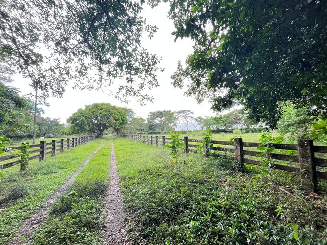 Lote en venta en Bella Suiza, Villavicencio, 61800 m² · foto 15 de 16