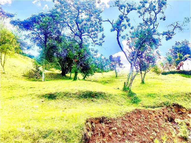 Finca en venta en Sajonia, Rionegro, 235 m² · foto 9 de 13