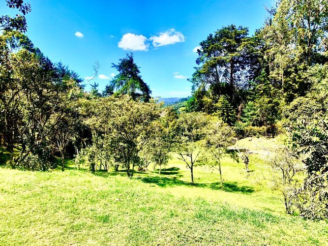 Finca en venta en Sajonia, Rionegro, 235 m² · foto 10 de 13