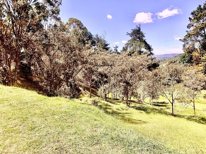 Finca en venta en Sajonia, Rionegro, 235 m² · foto 11 de 13