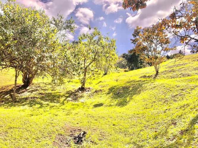 Finca en venta en Sajonia, Rionegro, 235 m² · foto 12 de 13