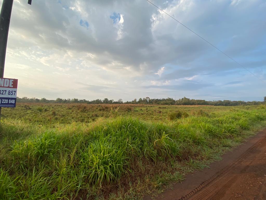 Vendo campo de 6.5 Ha en Carmen del Paraná — foto 2
