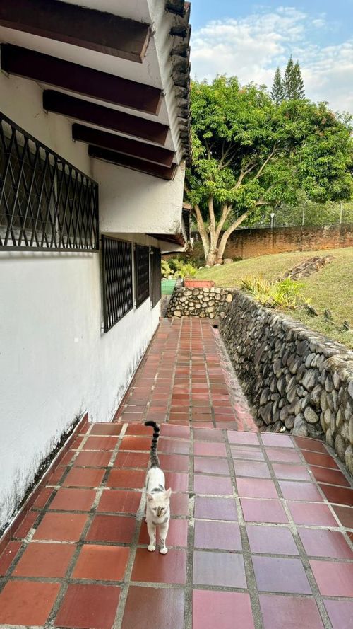 Casa de 4 alcobas en venta en Ciudad Jardin, Cali, 369 m² · foto 15 de 15