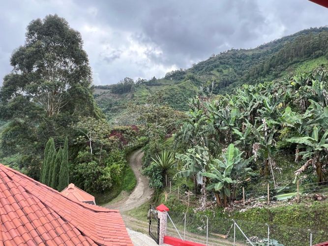 Finca en venta en San Diego, Medellín, 2000 m² · foto 4 de 9