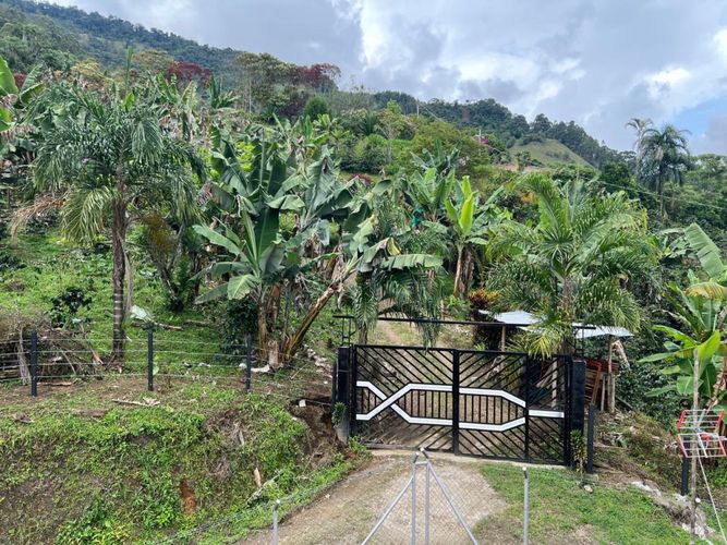 Finca en venta en San Diego, Medellín, 2000 m² · foto 8 de 9