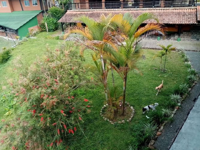 Local en arriendo en Tribunas Corcega, Pereira, 1800 m² · foto 7 de 8