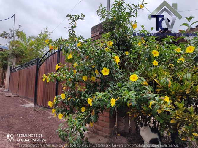 Casa de 3 alcobas en venta en Campo Verde, Piedecuesta, 1594 m² · foto 3 de 23