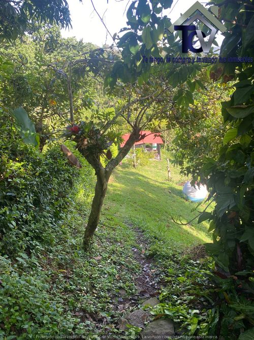 Casa de 3 alcobas en venta en Campo Verde, Piedecuesta, 1594 m² · foto 16 de 23