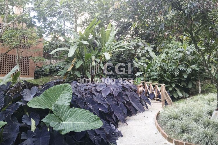 Apartamento de 2 alcobas en arriendo en Camino Verde, Envigado, 100 m² · foto 17 de 17