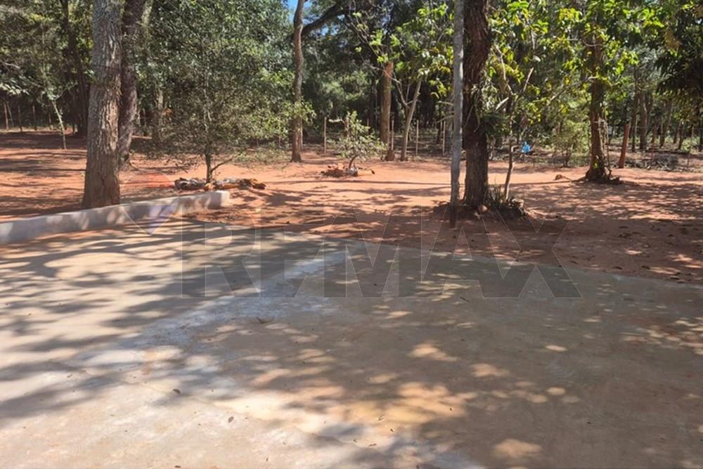 VENDO 220 HECTAREAS EN SAN ESTANISLAO — foto 2