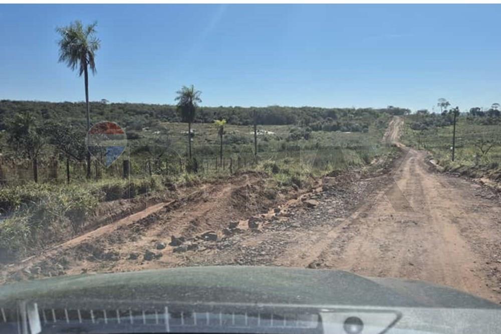 VENDO 220 HECTAREAS EN SAN ESTANISLAO — foto 3