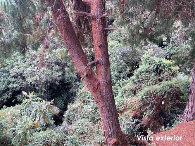 Casa de 4 alcobas en venta en Yerbabuena, Chía, 200 m² · foto 17 de 20
