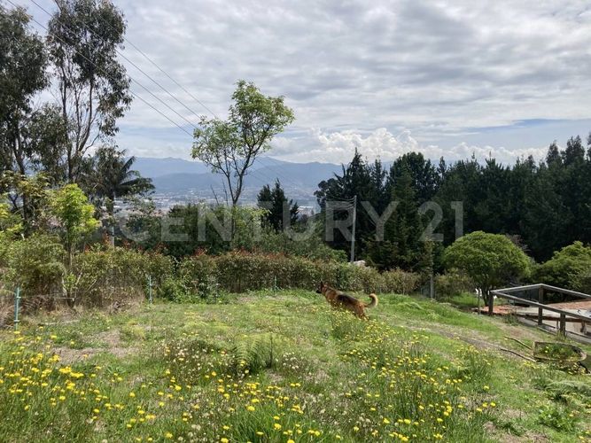 Casa de 4 alcobas en venta en Yerbabuena, Chía, 200 m² · foto 20 de 20